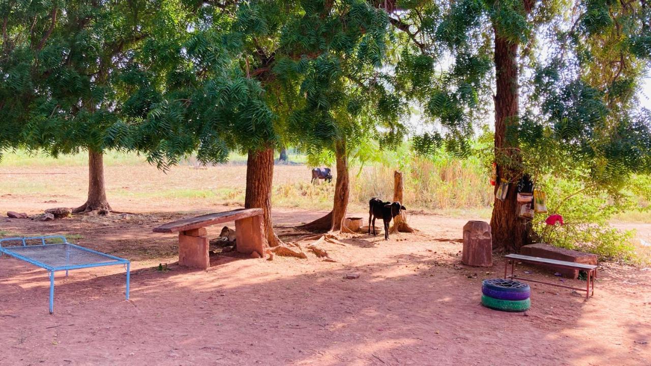 Ananya Farms Paradise Jodhpur  Exterior foto
